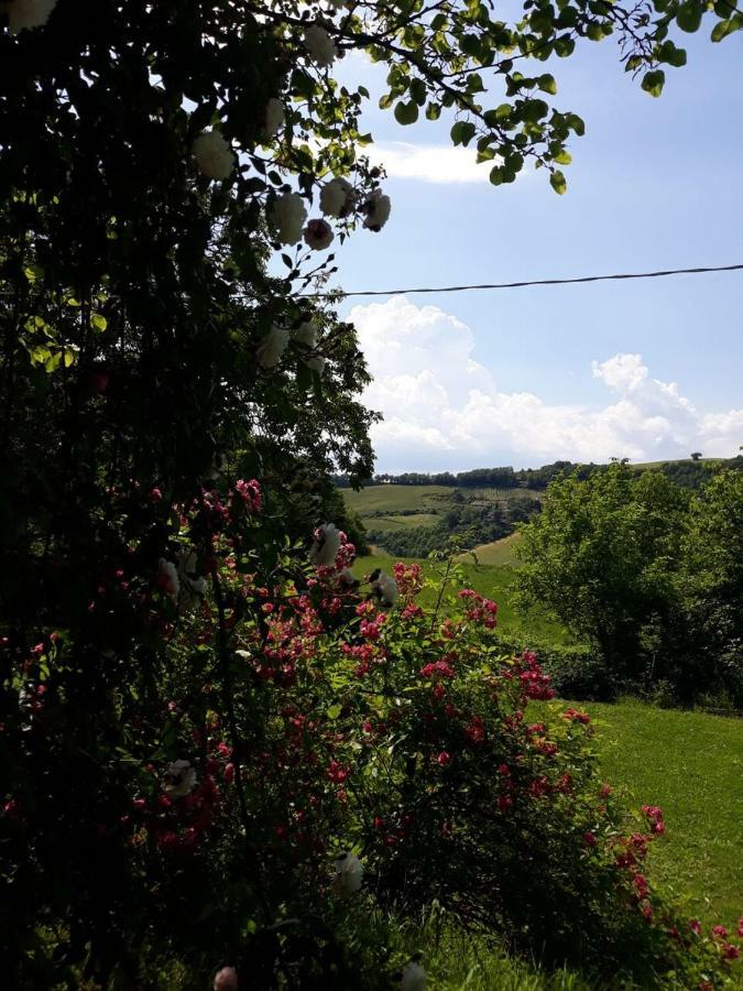 B&B I Canonici Urbino Exteriér fotografie